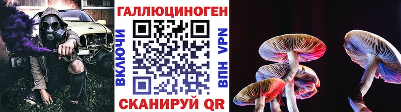 Галлюциногенные грибы Psilocybine cubensis  Купить где  Кизляр 